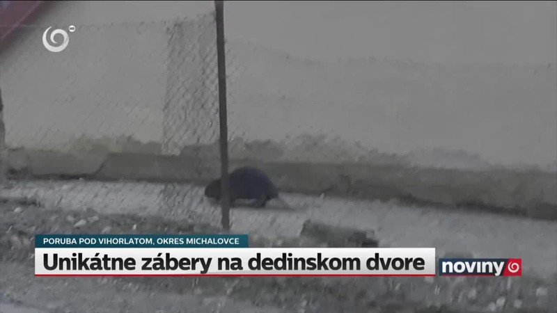 Unikátne zábery na dedinskom dvore