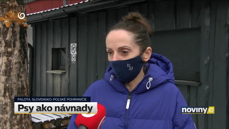 Psy ako návnady