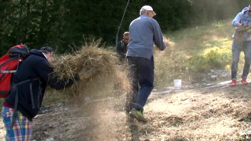 Nízke Tatry sú zelenšie a čistejšie. Úradovali v nich dobrovoľníci