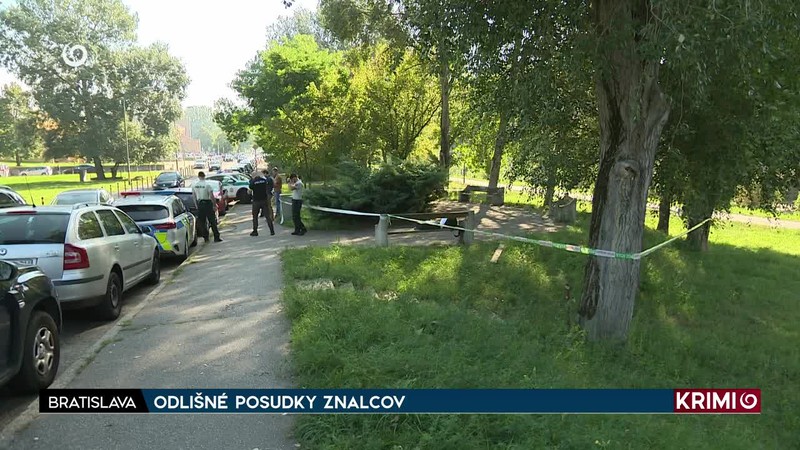 ODLIŠNÉ POSUDKY ZNALCOV