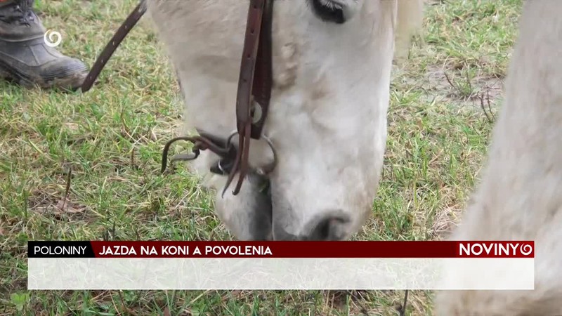 JAZDA NA KONI A POVOLENIA