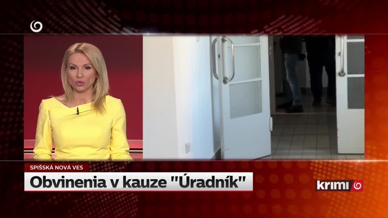 Obvinenia v kauze "Úradník"