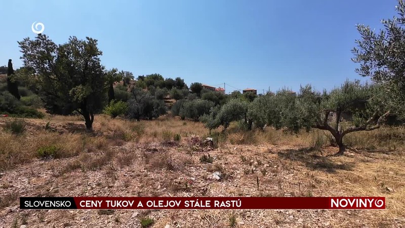 CENY TUKOV A OLEJOV STÁLE RASTÚ