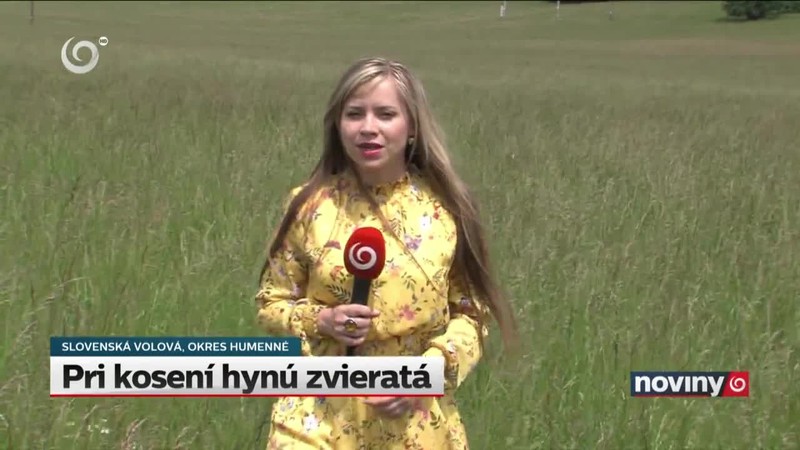 Pri kosení hynú zvieratá