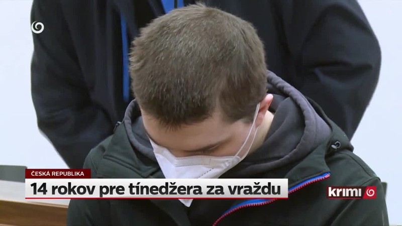 14 rokov pre tínedžera za vraždu
