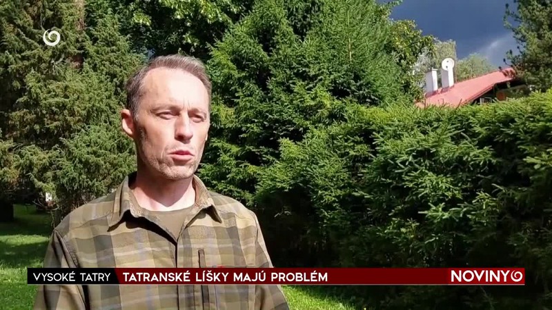 TATRANSKÉ LÍŠKY MAJÚ PROBLÉM