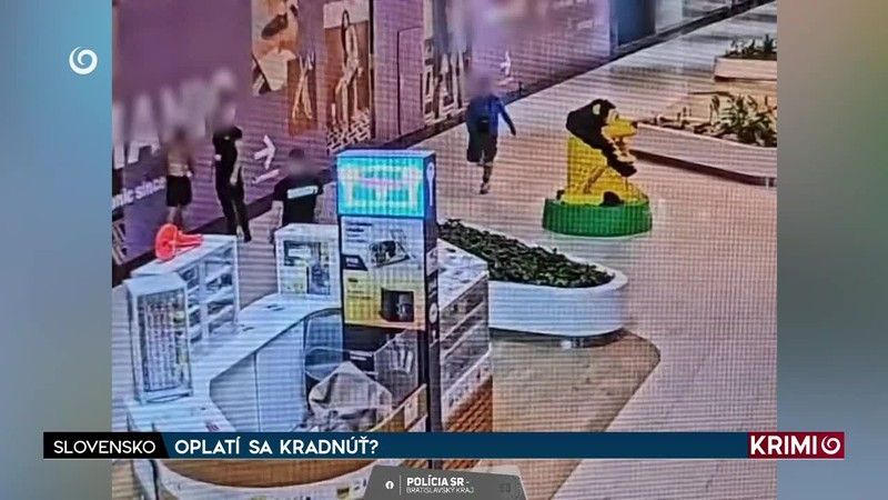 OPLATÍ SA KRADNÚŤ?