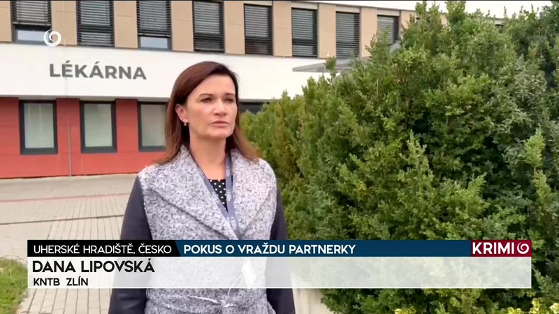 POKUS O VRAŽDU PARTNERKY