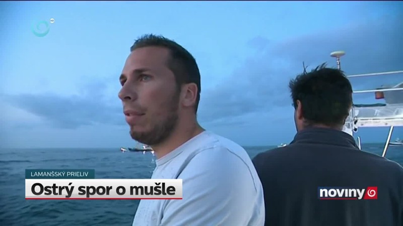 Ostrý spor o mušle