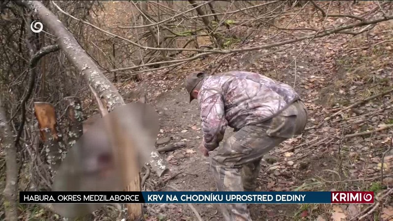 KRV NA CHODNÍKU UPROSTRED DEDINY