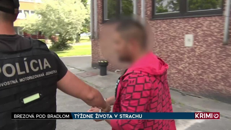 TÝŽDNE ŽIVOTA V STRACH