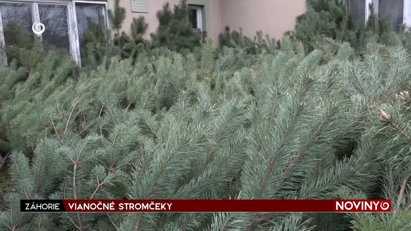 VIANOČNÉ STROMČEKY