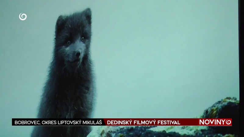 DEDINSKÝ FILMOVÝ FESTIVAL