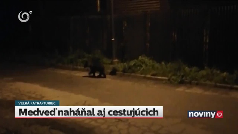 Zákazy interrupcií neprešli