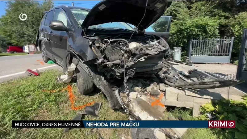 NEHODA PRE MAČKU