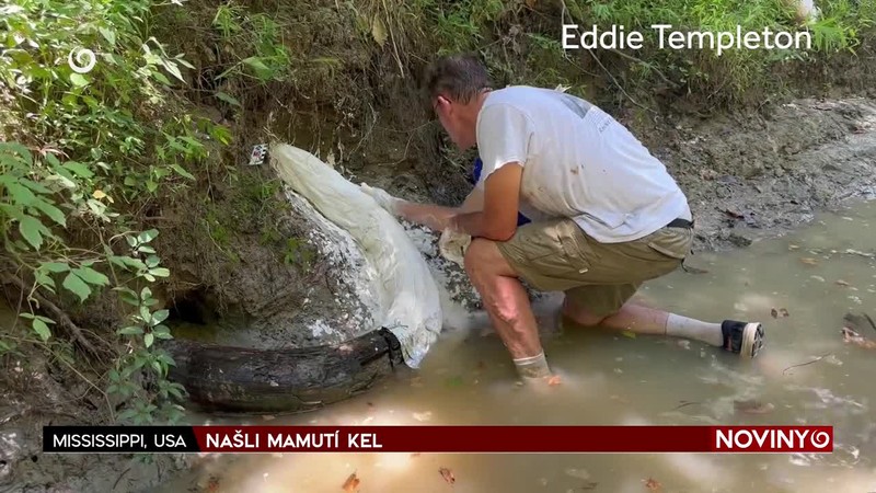 NAŠLI MAMUTÍ KEL