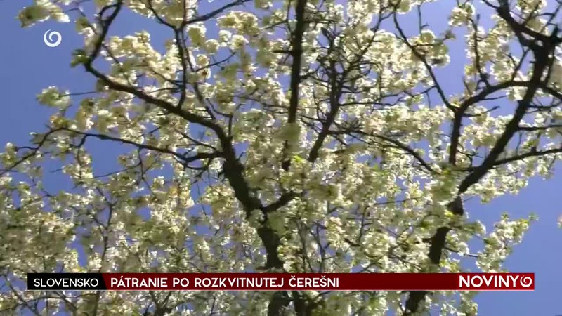 ODOMYKANIE VÁHU