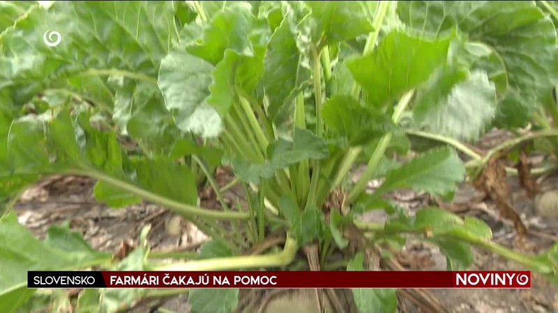 FARMÁRI ČAKAJÚ NA POMOC
