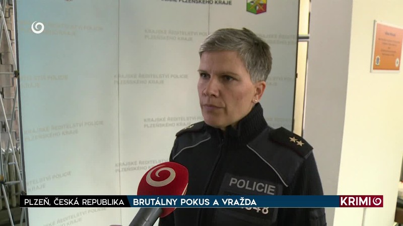 BRUTÁLNY POKUS A VRAŽDA