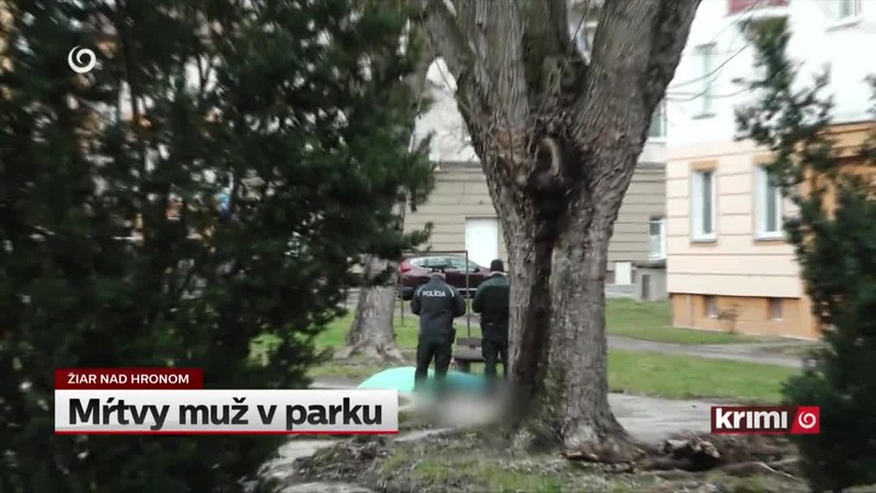 Mŕtvy muž v parku