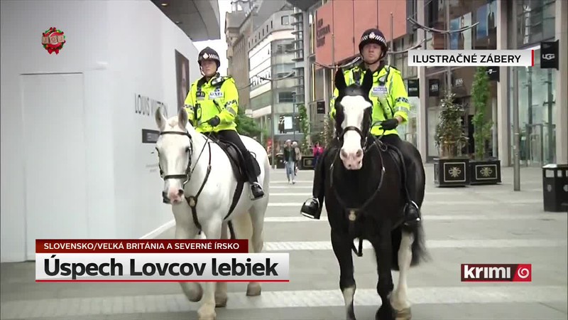 Úspech Lovcov lebiek