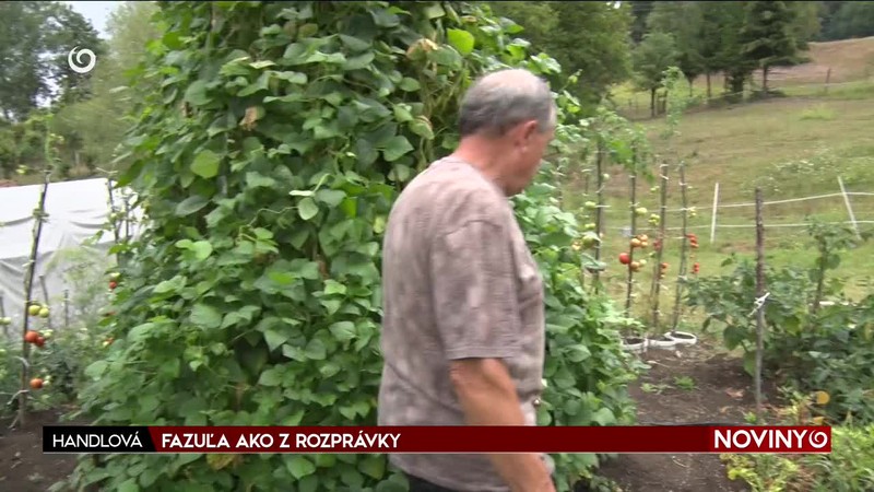 FAZUĽA AKO Z ROZPRÁVKY