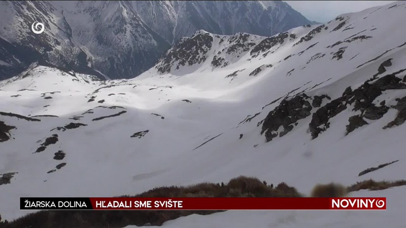 HĽADALI SME SVIŠTE