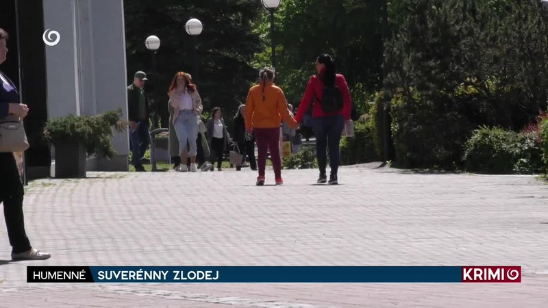 SUVERÉNNY ZLODEJ