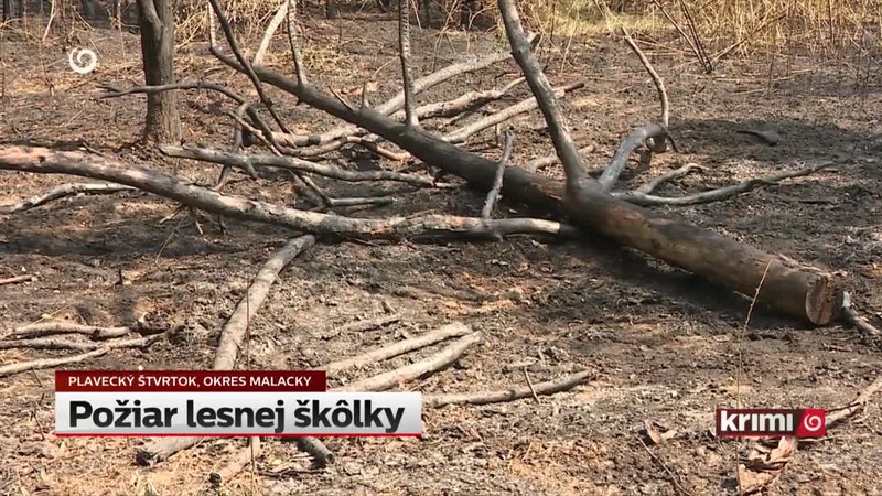 Požiar lesnej škôlky