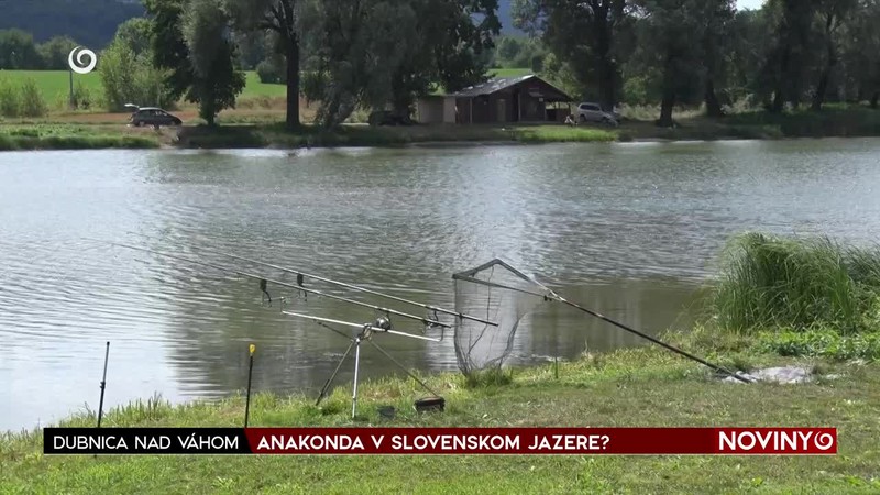 ANAKONDA V SLOVENSKOM JAZERE?