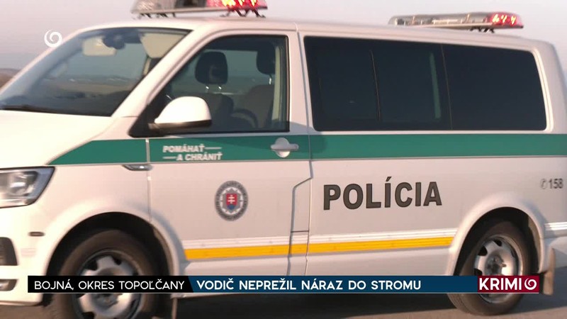 VODIČ NEPREŽIL NÁRAZ DO STROMU