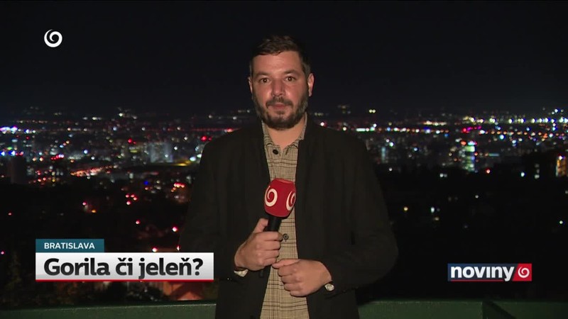 Gorila či jeleň?