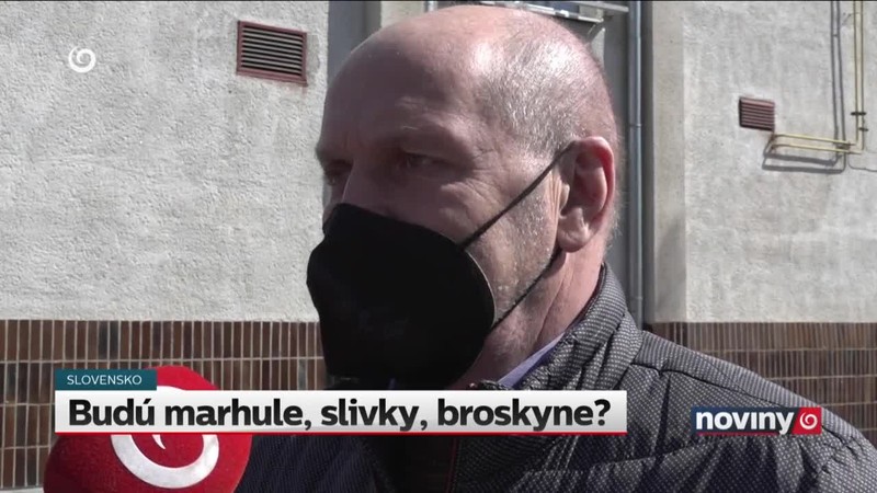 Budú marhule, slivky, broskyne?