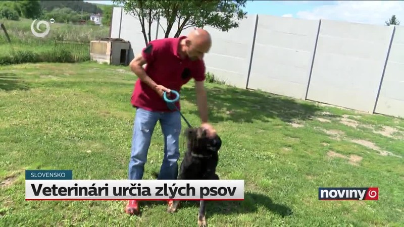 Veterinári určia zlých psov