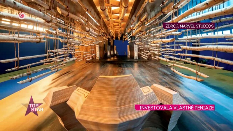 INVESTOVALA VLASTNÉ PENIAZE