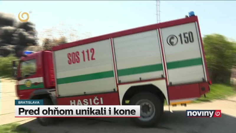 Pred ohňom unikali i kone