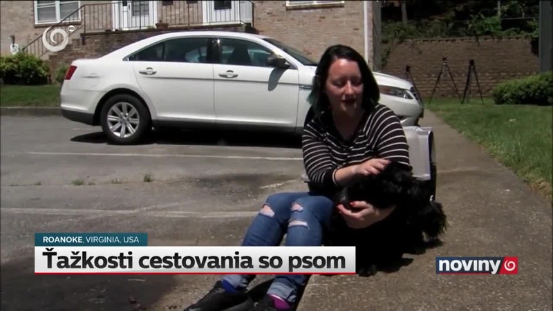 Ťažkosti cestovania so psom