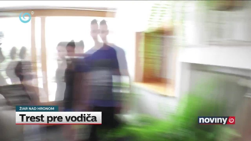 Trest pre vodiča