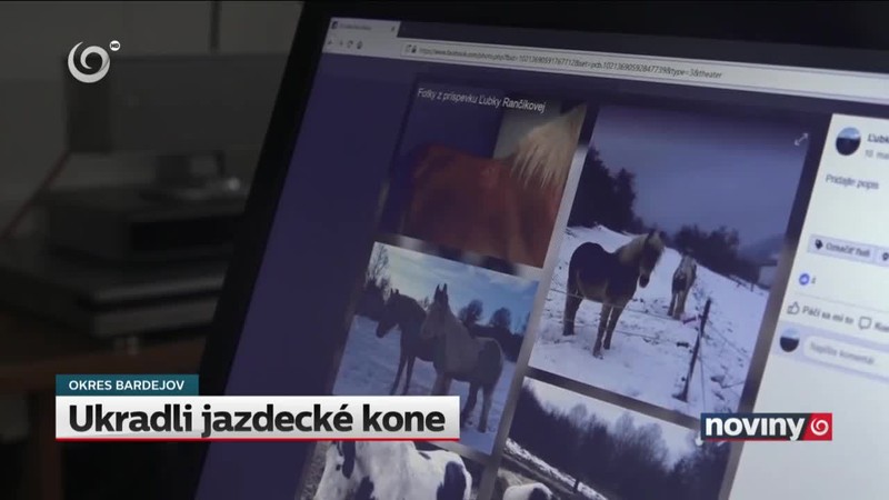 Ukradli jazdecké kone