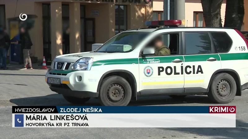 ZLODEJ NEŠIKA