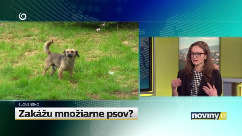 Zakážu množiarne psov?