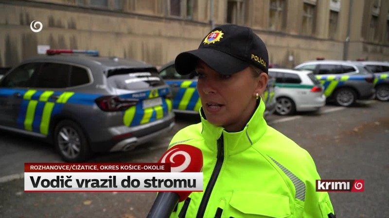 Vodič vrazil do stromu