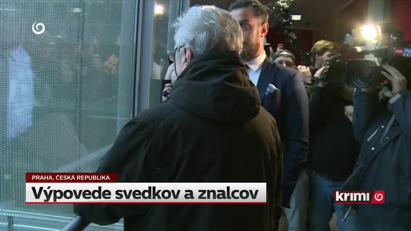 Výpovede svedkov a znalcov