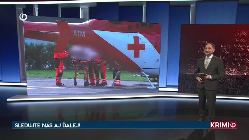 CHODKYŇA NÁHLE VSTÚPILA DO CESTY