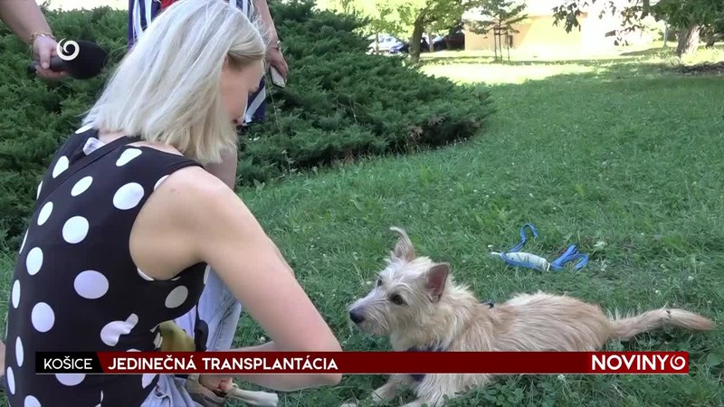 JEDINEČNÁ TRANSPLANTÁCIA