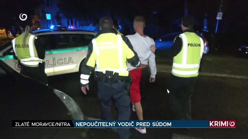 NEPOUČITEĽNÝ VODIČ PRED SÚDOM