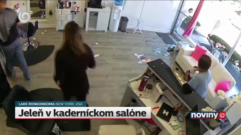 Jeleň v kaderníckom salóne