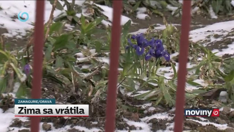 Zima sa vrátila