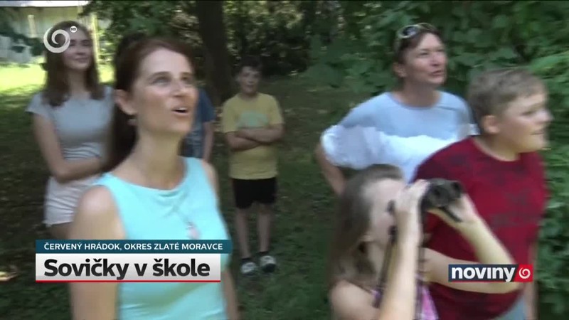 Sovičky v škole