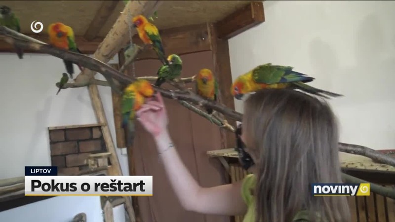 Pokus o reštart